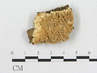 登錄號:F0009521藏品圖，第1張