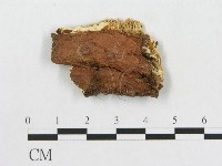 登錄號:F0009521藏品圖，第3張