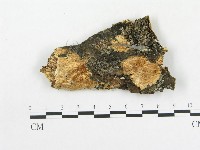 登錄號:F0009522藏品圖，第1張