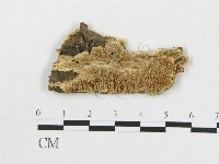 登錄號:F0009523藏品圖，第1張