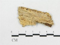 登錄號:F0009523藏品圖，第3張