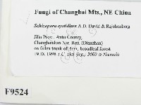 登錄號:F0009524藏品圖，第2張