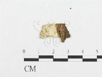 登錄號:F0009524藏品圖，第3張