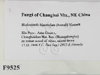 登錄號:F0009525藏品圖，第2張