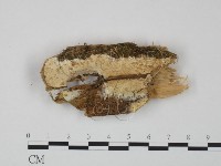 登錄號:F0009525藏品圖，第1張