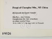 登錄號:F0009526藏品圖，第2張