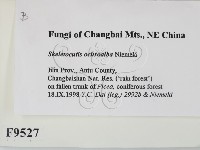 登錄號:F0009527藏品圖，第2張