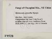 登錄號:F0009528藏品圖，第2張