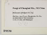 登錄號:F0009530藏品圖，第2張