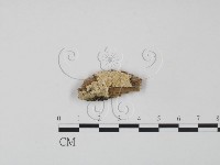 登錄號:F0009530藏品圖，第1張