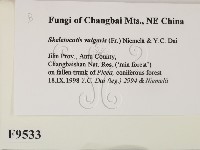 登錄號:F0009533藏品圖，第2張