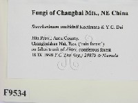 登錄號:F0009534藏品圖，第2張