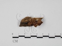 登錄號:F0009535藏品圖，第1張