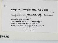 登錄號:F0009536藏品圖，第2張