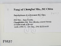 登錄號:F0009537藏品圖，第2張