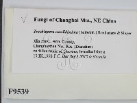 登錄號:F0009539藏品圖，第2張