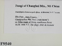 登錄號:F0009540藏品圖，第2張