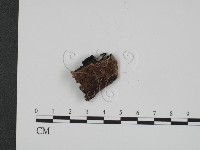 登錄號:F0009541藏品圖，第1張