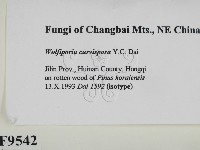 登錄號:F0009542藏品圖，第2張