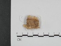 登錄號:F0009542藏品圖，第3張