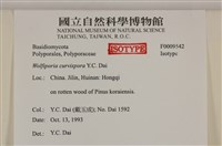 登錄號:F0009542藏品圖，第4張
