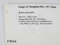 登錄號:F0009544藏品圖，第2張