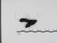 登錄號:F0009544藏品圖，第3張