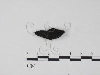 登錄號:F0009545藏品圖，第1張