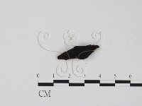 登錄號:F0009545藏品圖，第3張