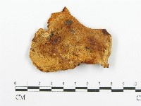 登錄號:F0009546藏品圖，第1張