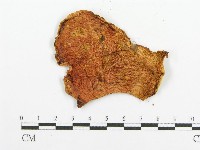 登錄號:F0009546藏品圖，第3張