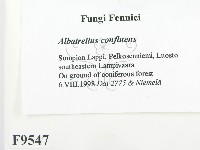 登錄號:F0009547藏品圖，第2張