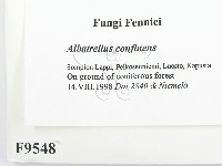 登錄號:F0009548藏品圖，第2張