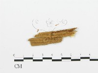 登錄號:F0009549藏品圖，第3張