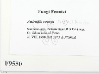 登錄號:F0009550藏品圖，第2張