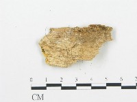 登錄號:F0009550藏品圖，第3張