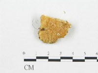 登錄號:F0009551藏品圖，第3張