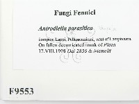 登錄號:F0009553藏品圖，第2張