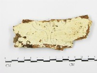 登錄號:F0009553藏品圖，第1張