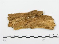 登錄號:F0009553藏品圖，第3張