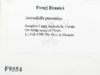 登錄號:F0009554藏品圖，第2張