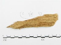 登錄號:F0009554藏品圖，第3張