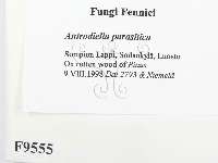 登錄號:F0009555藏品圖，第2張