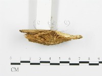 登錄號:F0009555藏品圖，第3張