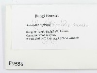 登錄號:F0009556藏品圖，第2張