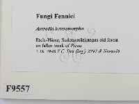 登錄號:F0009557藏品圖，第2張