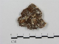 登錄號:F0009557藏品圖，第3張