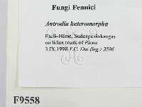 登錄號:F0009558藏品圖，第2張