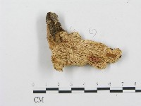登錄號:F0009558藏品圖，第1張