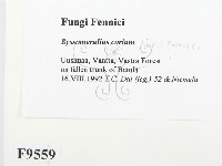 登錄號:F0009559藏品圖，第2張